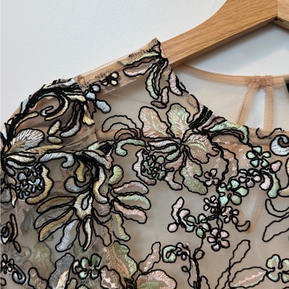 Topshop Embroidered Sheer Floral Lace Blouse - Picture 7 of 12